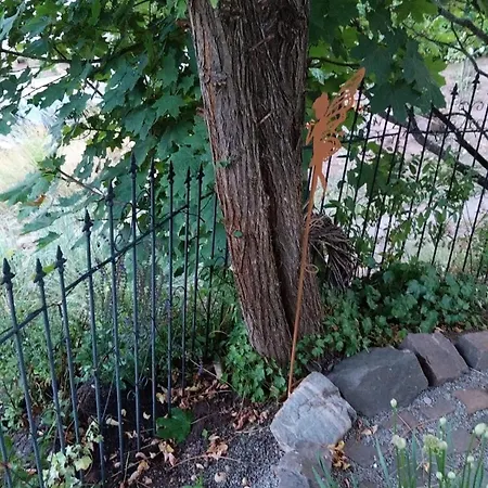 Beas Ferienglueck 公寓 *