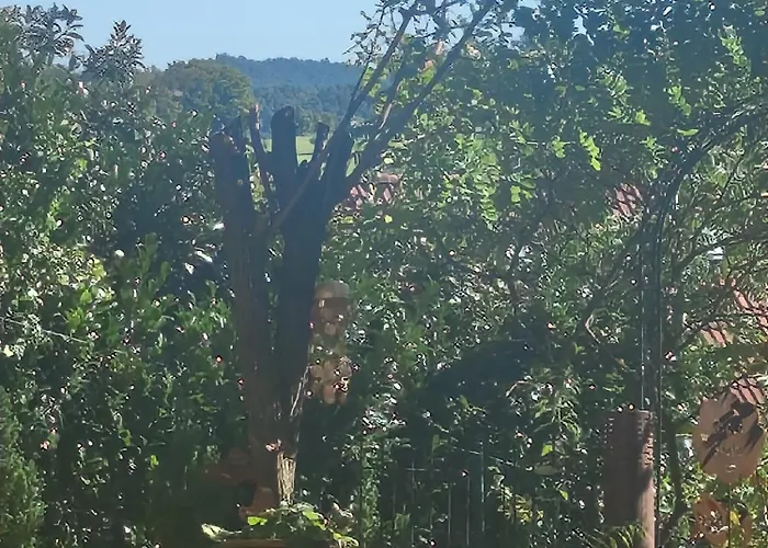 Beas Ferienglueck شقة